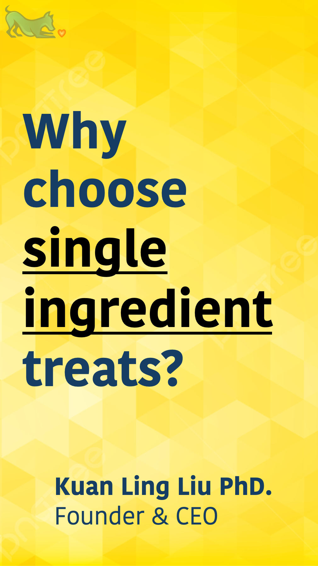 Stay Single – Single Ingredient, Nutritious, High-Quality Foods for Every Fur Baby!