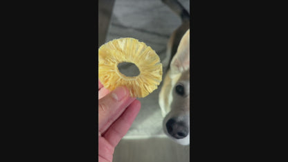 Pineapple Rings