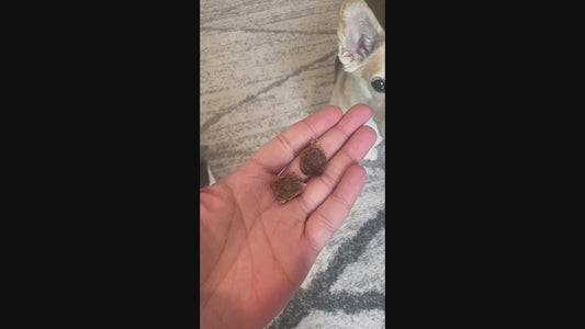 Turkey Bites